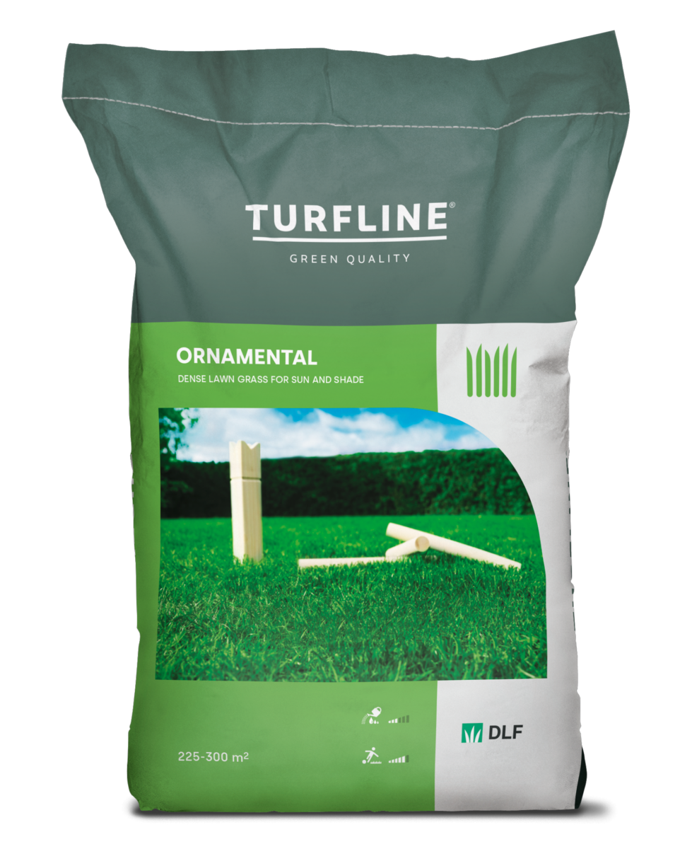 Vejos sėklų mišinys Ornamental